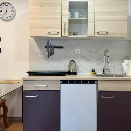 Apartments Zupan Sencur Exterior photo
